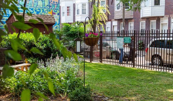 Where to find urban farms and gardens in Kensington