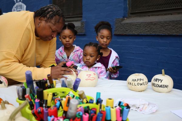 Kensington news: Constituent services, Day of the Dead, Election Day, food drives, Halloween events, ice skating