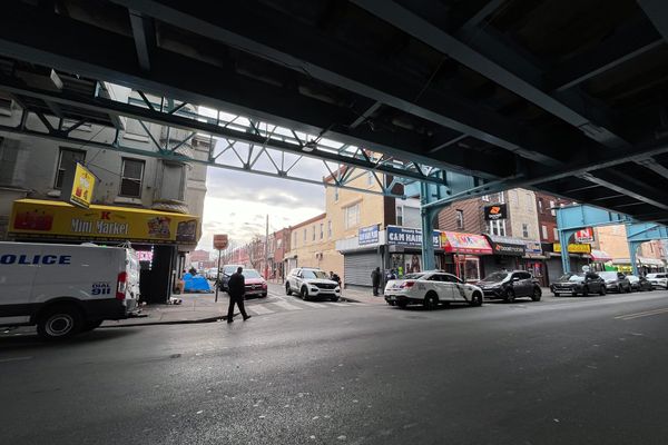 Kensington news: Community clean-ups, Haudenosaunee, police, redistricting, and tree recycling