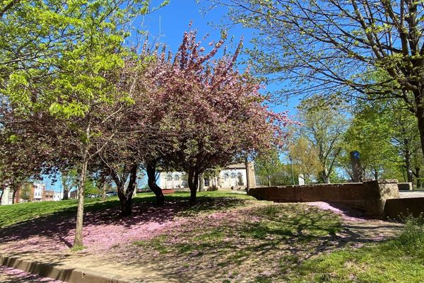 Kensington news: Election Day, Earth Day composting, PPD community listening session, and NKCDC native plant sale