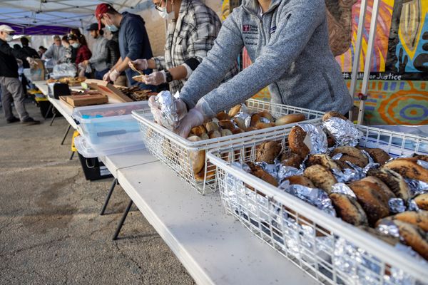 Kensington news: Congresso Harvest Festival, “Mouse Museum” book launch, and Virida garden market