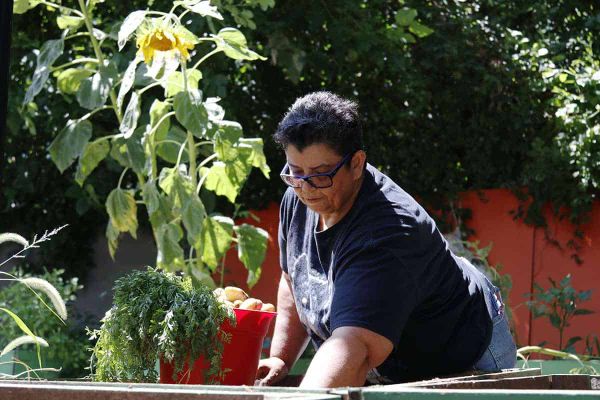 Las clases gratuitas en Lillian Marrero Library combinan cocinar con el aprendizaje de inglés