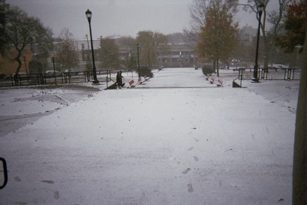 Adoro cómo se ve la ciudad en la nieve — una pizarra muy limpia