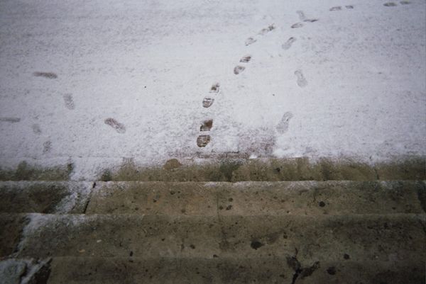 I adore how the city looks in the snow — a very clean slate