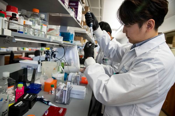 Por qué una vacuna contra el coronavirus puede tardar 18 meses en llegar al público