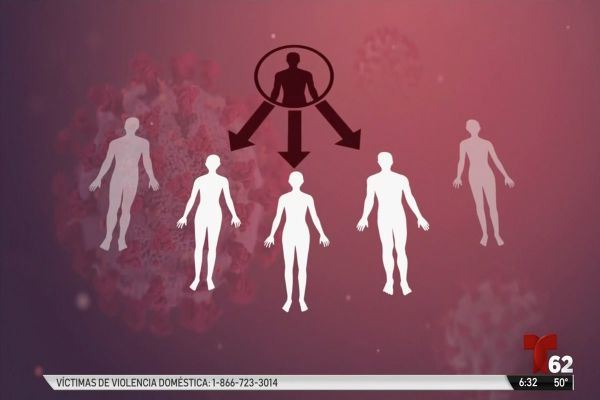 Peligrosa la desinformación en las redes sociales sobre el COVID-19