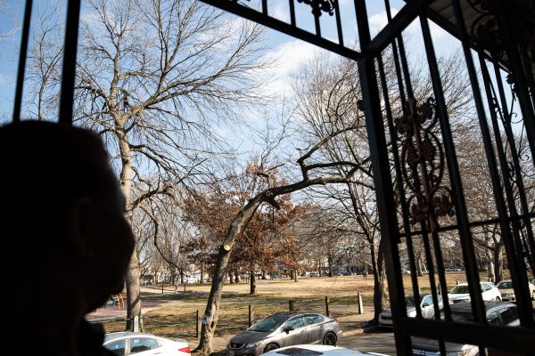 Unas residentes de Harrowgate esperan años para que Philly Parks and Rec sacara un árbol: ‘Era mi misión derribar ese árbol’