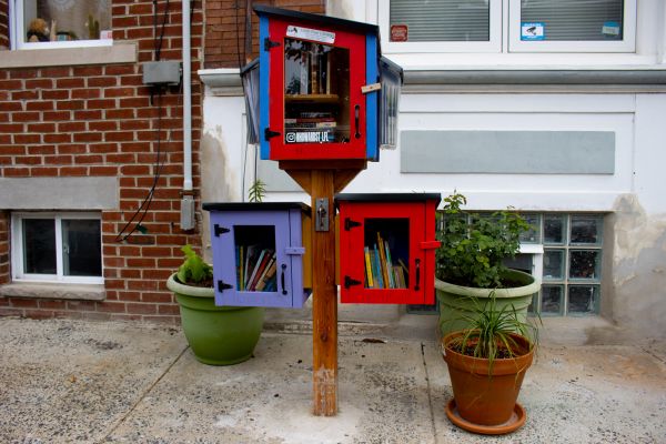 Take a book, leave a book: Where to find little libraries around Kensington