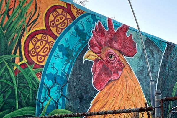 Kensington news brief: Girl Scouts troop, Kensington Mayoral Forum, and Walgreens closure