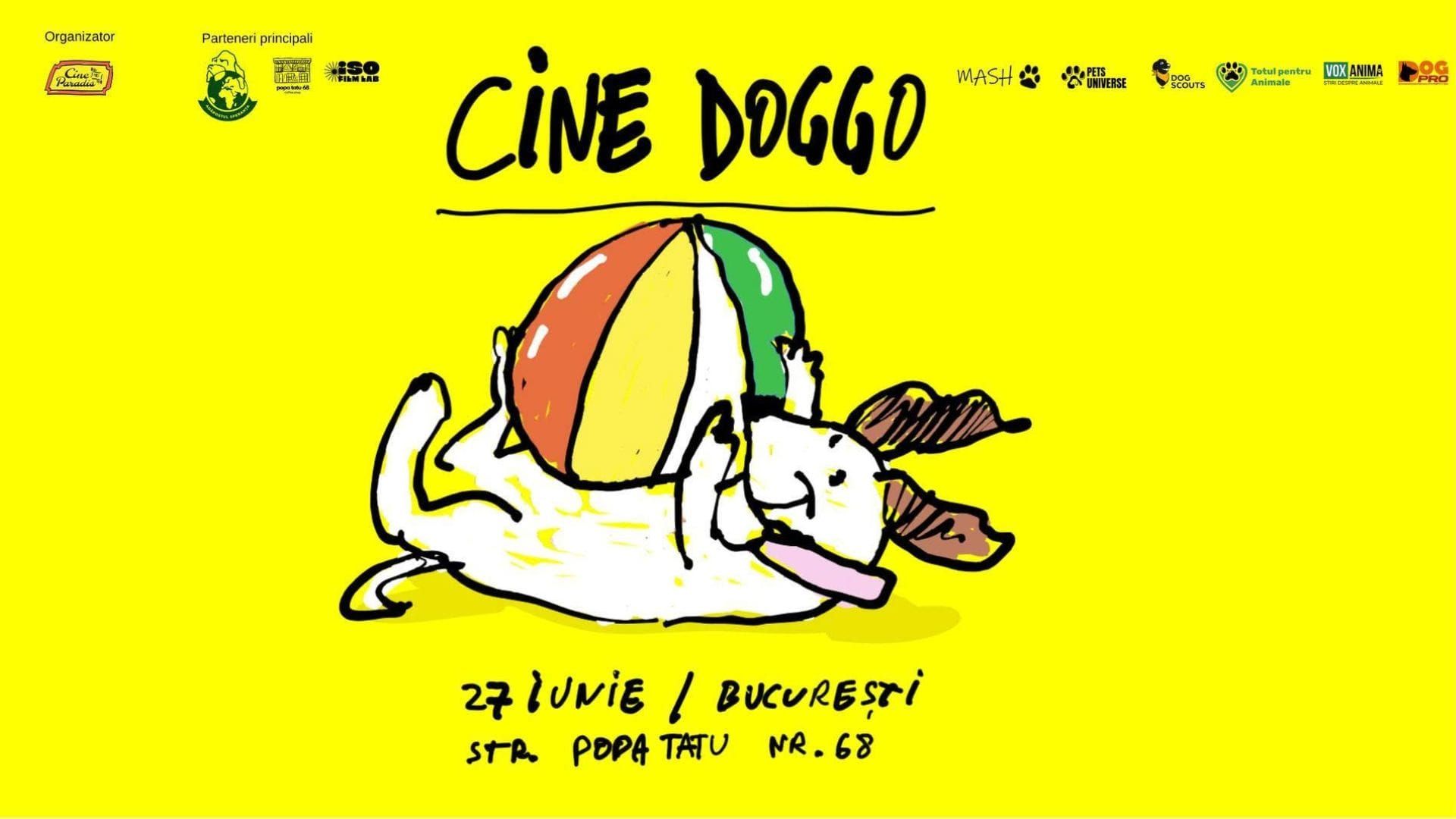CineDoggo: căței, adopții responsabile, fotografii și Wes Anderson