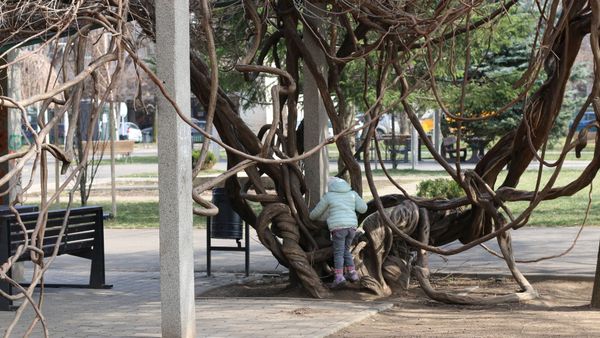 Parcul Cinema Floreasca e iar în pericol