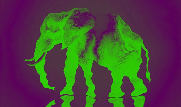 The synthetic elephant in the room