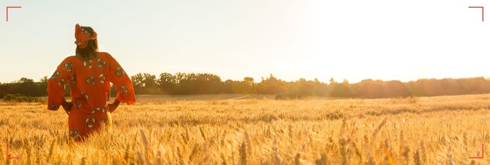 Seed 2 Harvest Report: Exploring Africa's Agricultural Development and Security Challenges - I