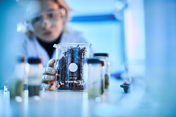 Scientist in a lab coat and safety glasses examining a beaker filled with dried seaweed samples, part of materials innovation work at Kelpi