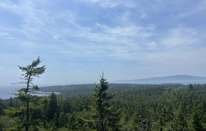Best Schoodic Peninsula Hike? The Anvil Trail Views Are Worth It.