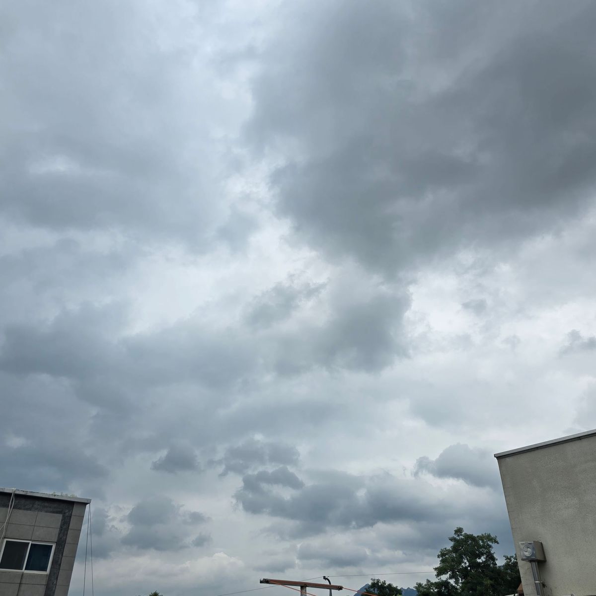 (Untitled)