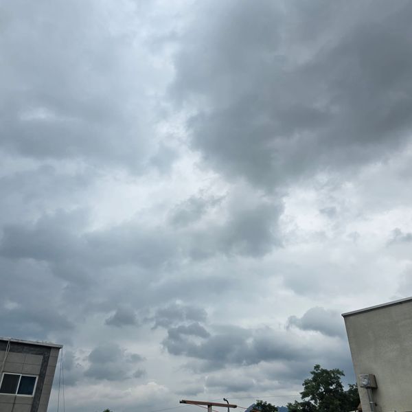 (Untitled)