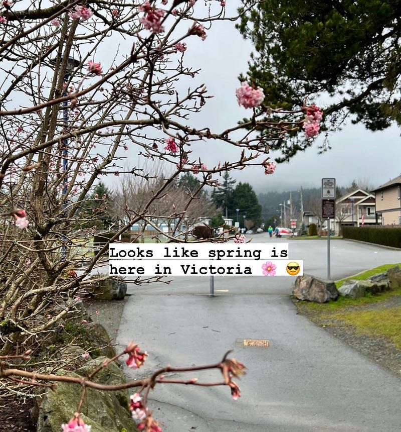 Weeknotes: 3/2022