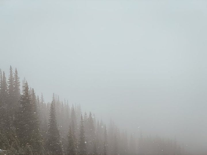 Weeknotes 2/2022