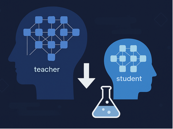 Distilling a High-Performance Language Model