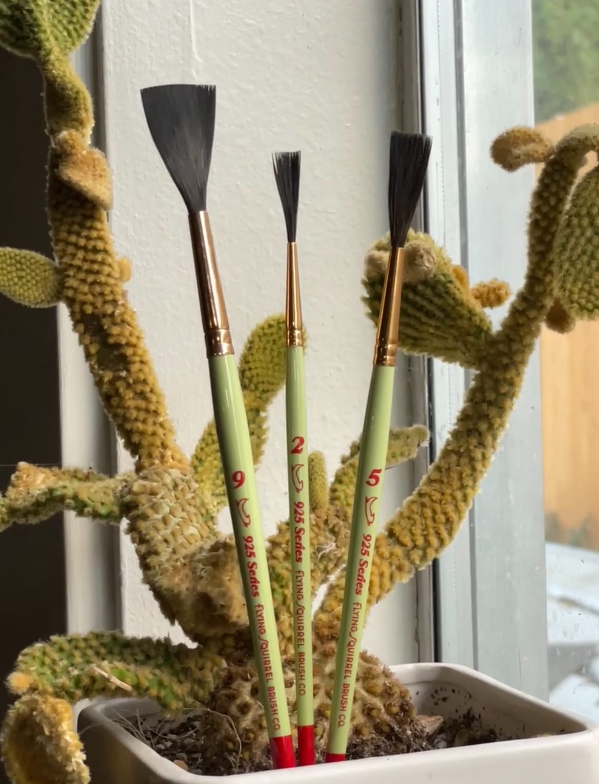 Chiselled sign painting brushes photographed in a planter containing a cactus.