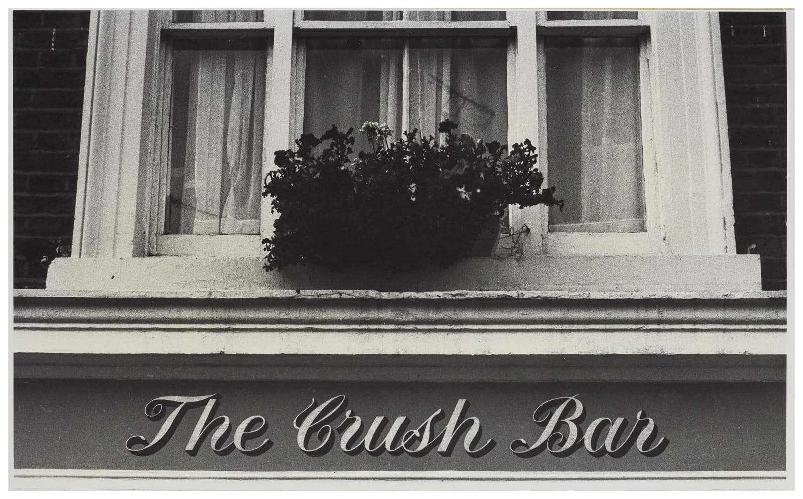 Fascia sign with cursive lettering saying "The Crush Bar" above which is a first floor window with a basket of flowers on the sill.