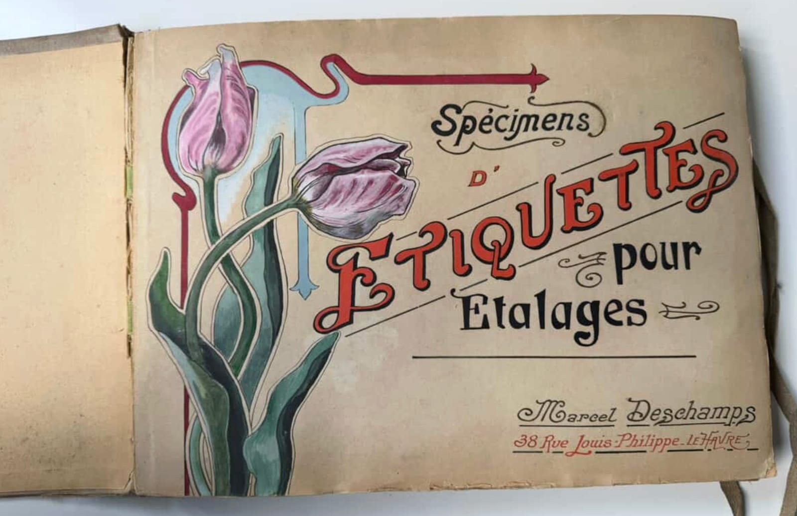 Title page of an old book with a hand-lettered title and a pictorial of two pink flowers and their stems and leaves.
