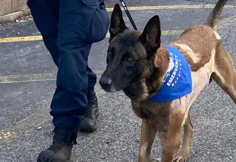 K9 recovers, communities cope, and rocket launches