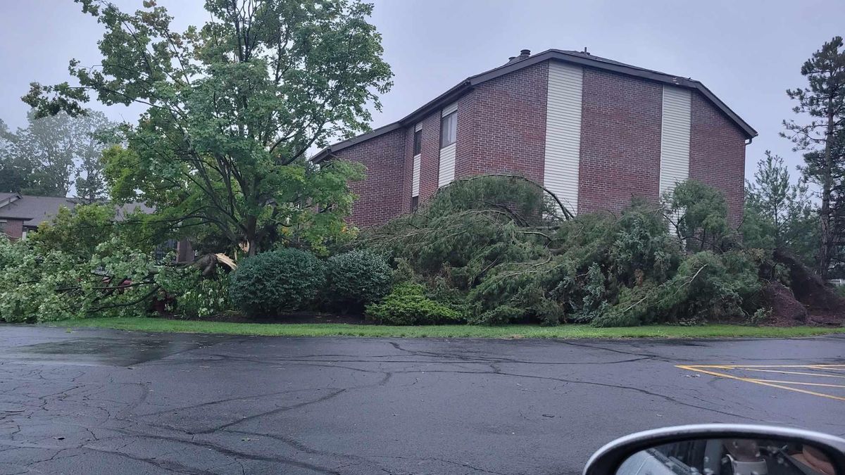 Michigan tornadoes, TPS conflict update, and back-to-school support