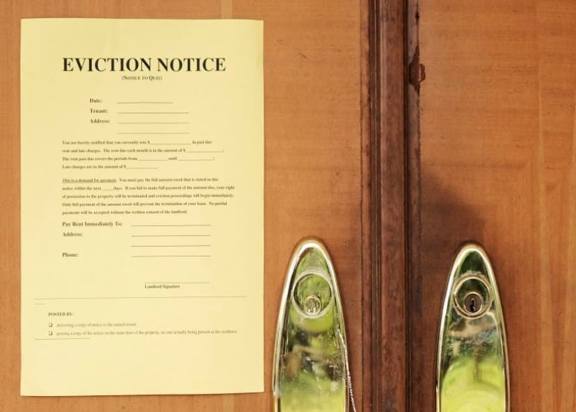 Shady landlords, Black fly, and school bus safety