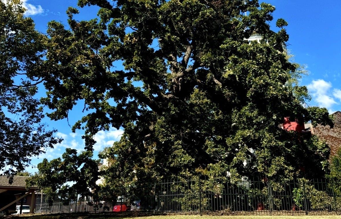 Mekko Acee Yahola: First Mayor of Tulsa