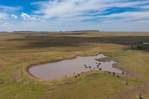 Osage legal battle, respecting Native names, and BA school construction