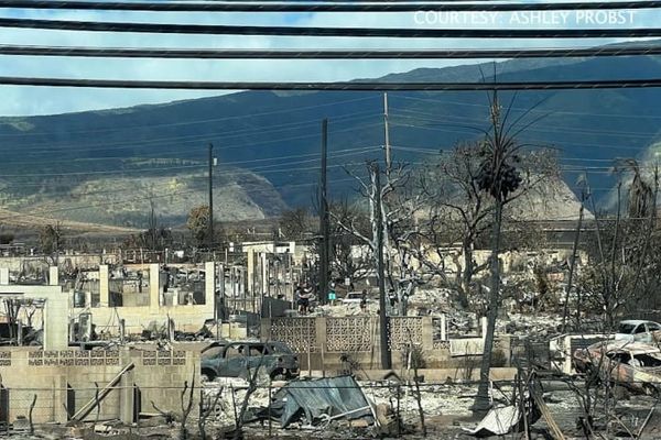 Lahaina recovers, catholics seek accounts, and AI-influenced prescriptions