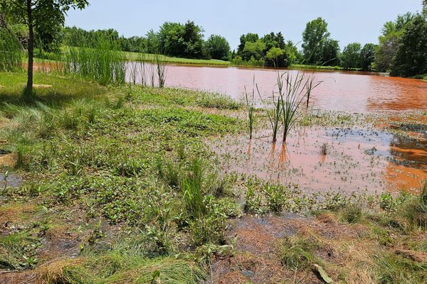 Data centers and their environmental impacts