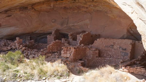 Trump Shrinks Bears Ears National Monument, Rolling Back Protections for Sacred Tribal Lands