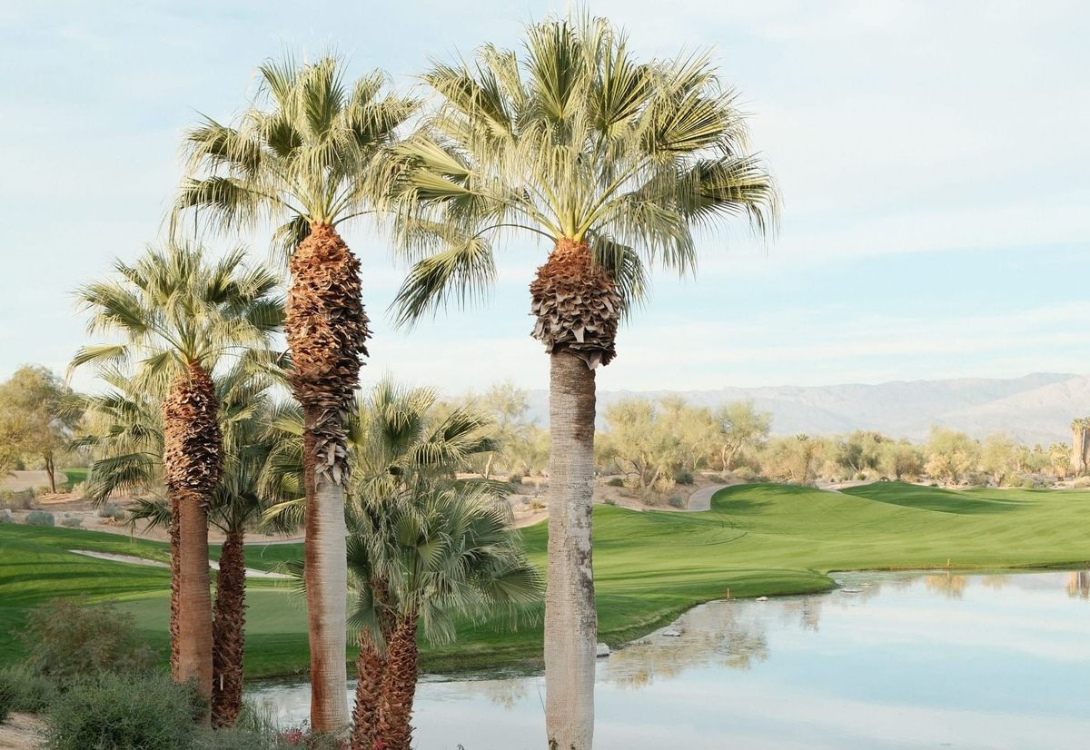 Palm Springs Custom Trip Golf Weekend