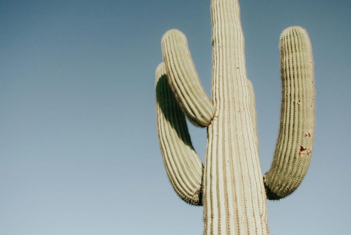 Is Scottsdale Good for Golf in January? What to Expect