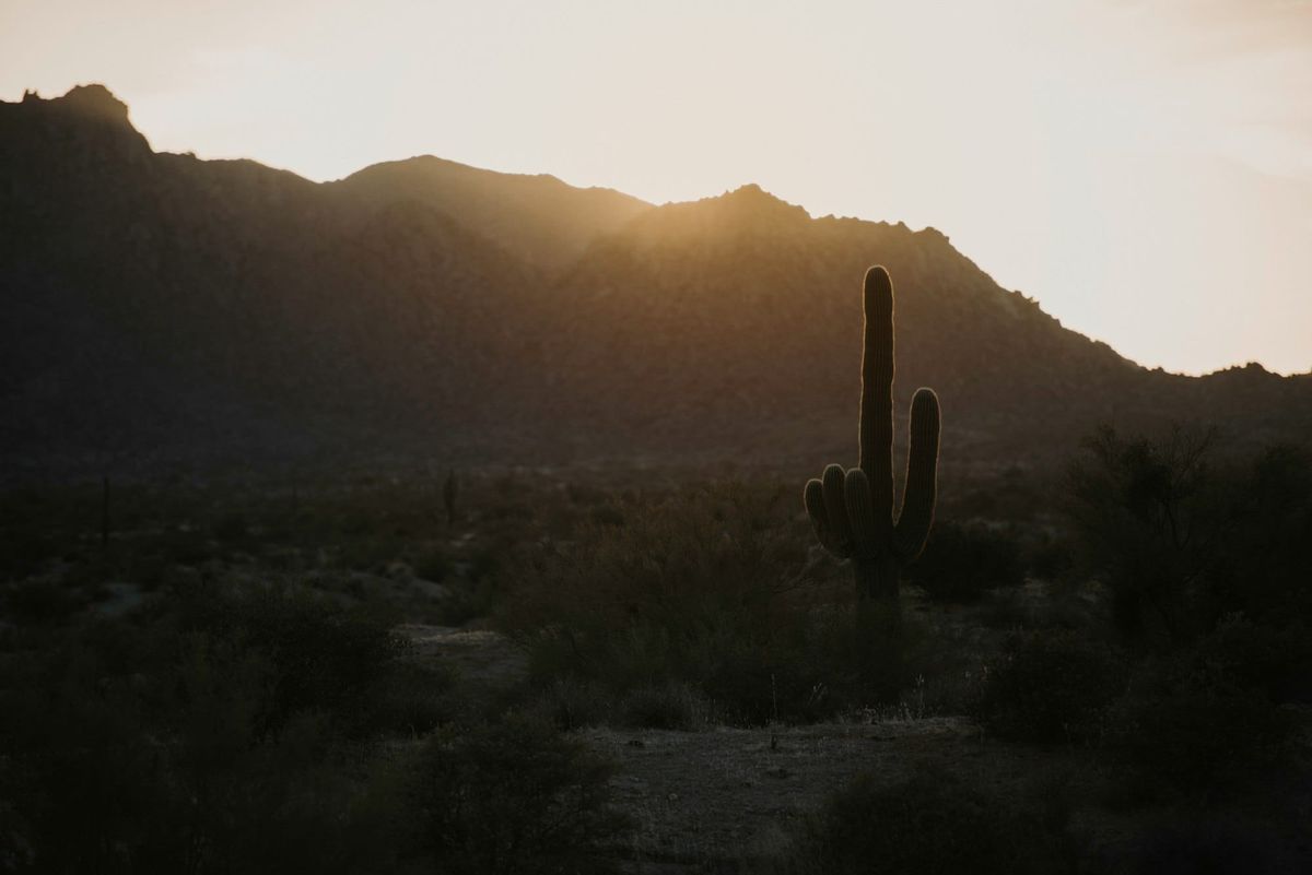 Tips for Walking Golf Courses in Scottsdale (Without Overheating)