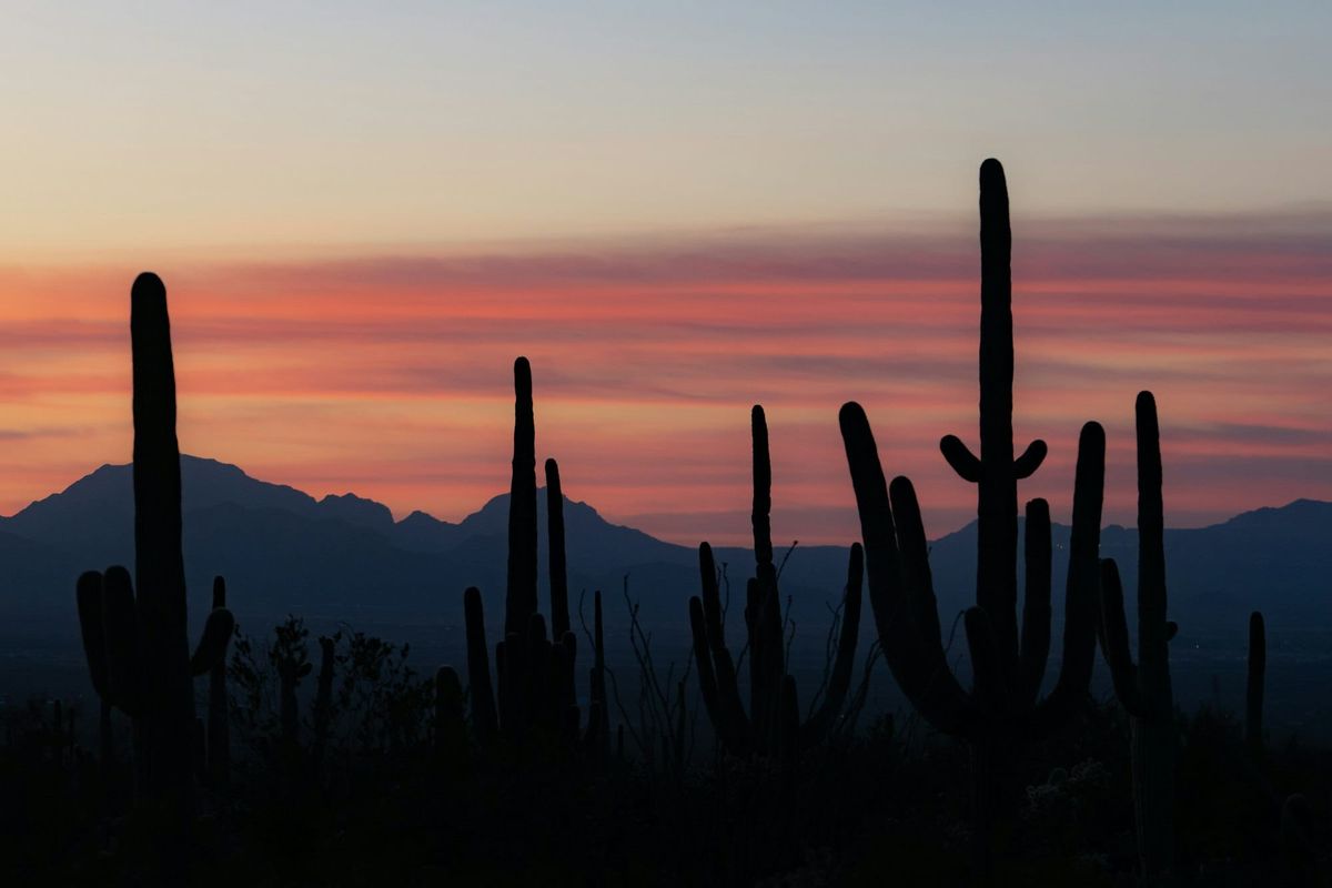 Ultimate Scottsdale Golf Trip Checklist (What to Do Before You Go)