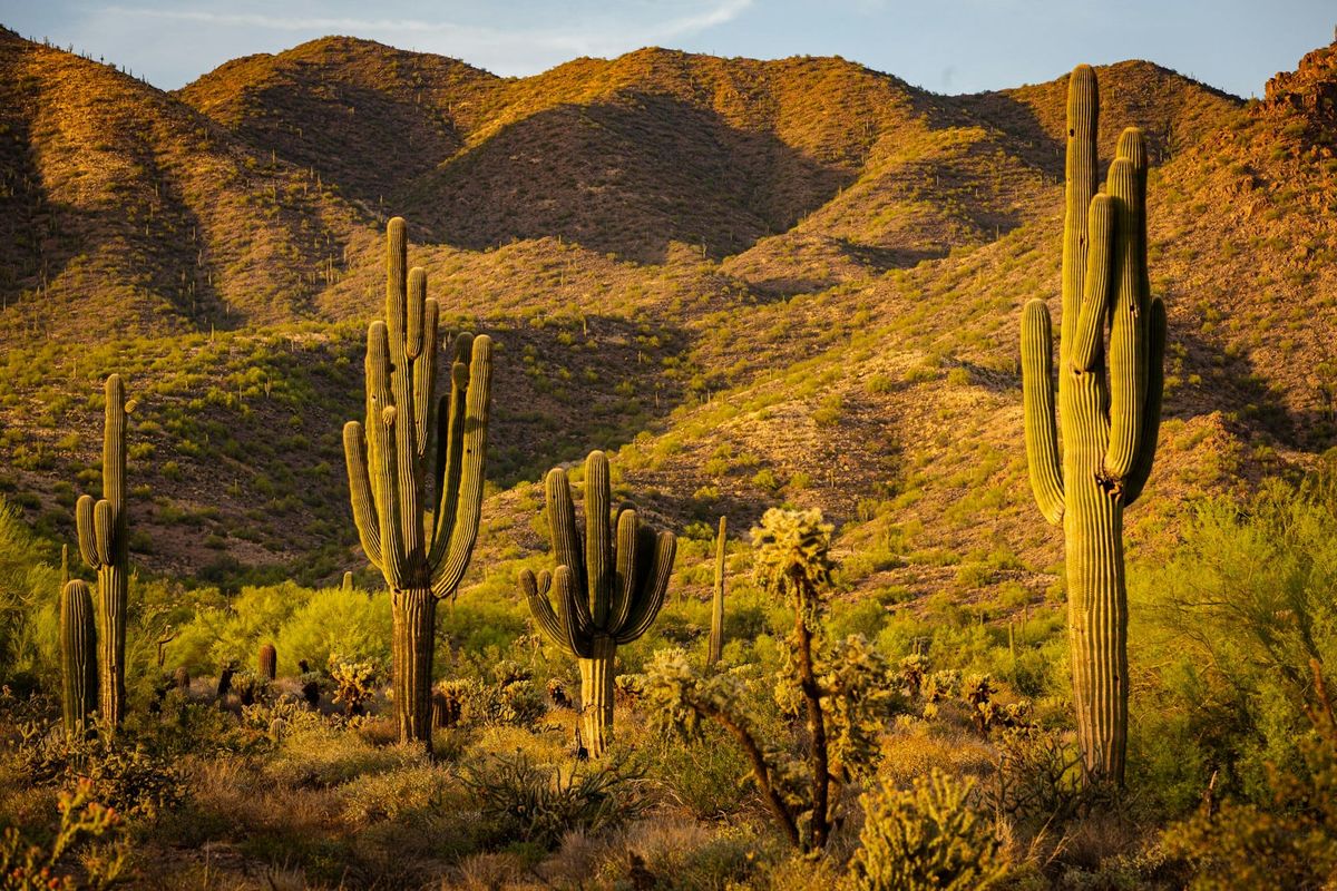 How to Plan a Surprise Golf Trip to Scottsdale (Tips + Tricks)