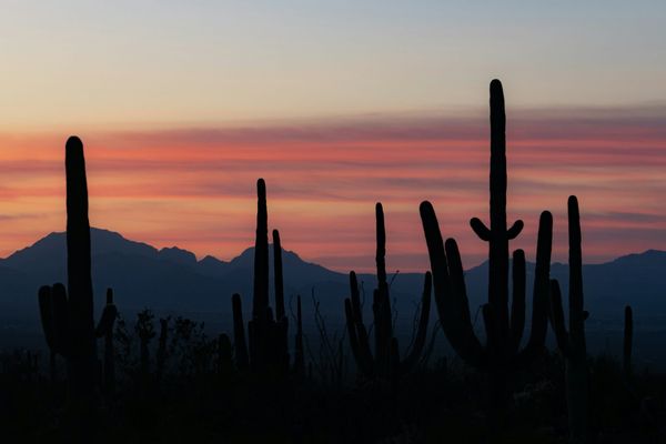 Ultimate Scottsdale Golf Trip Checklist (What to Do Before You Go)