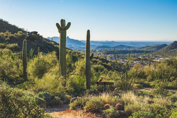 What Does a Scottsdale Golf Trip Cost?