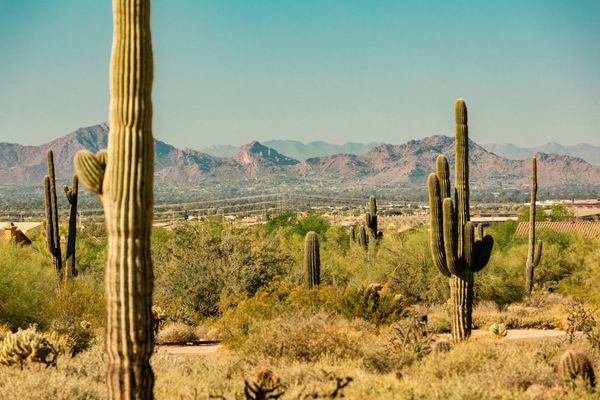 Best Summer Golf Deals in Scottsdale: Where to Play and Save