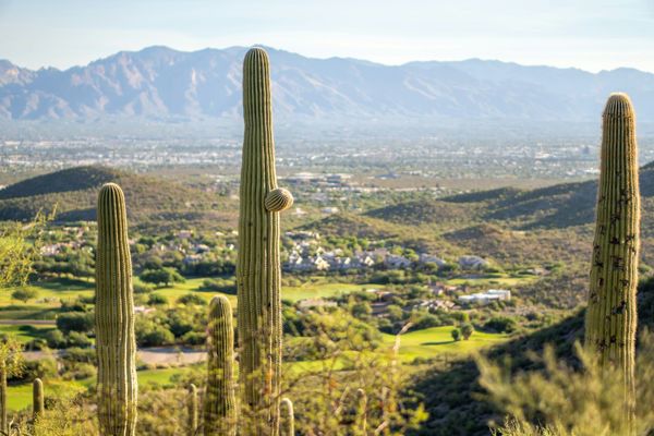 How to Plan a Scottsdale Bachelor Golf Trip