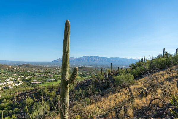 Best Time of Year to Golf in Scottsdale