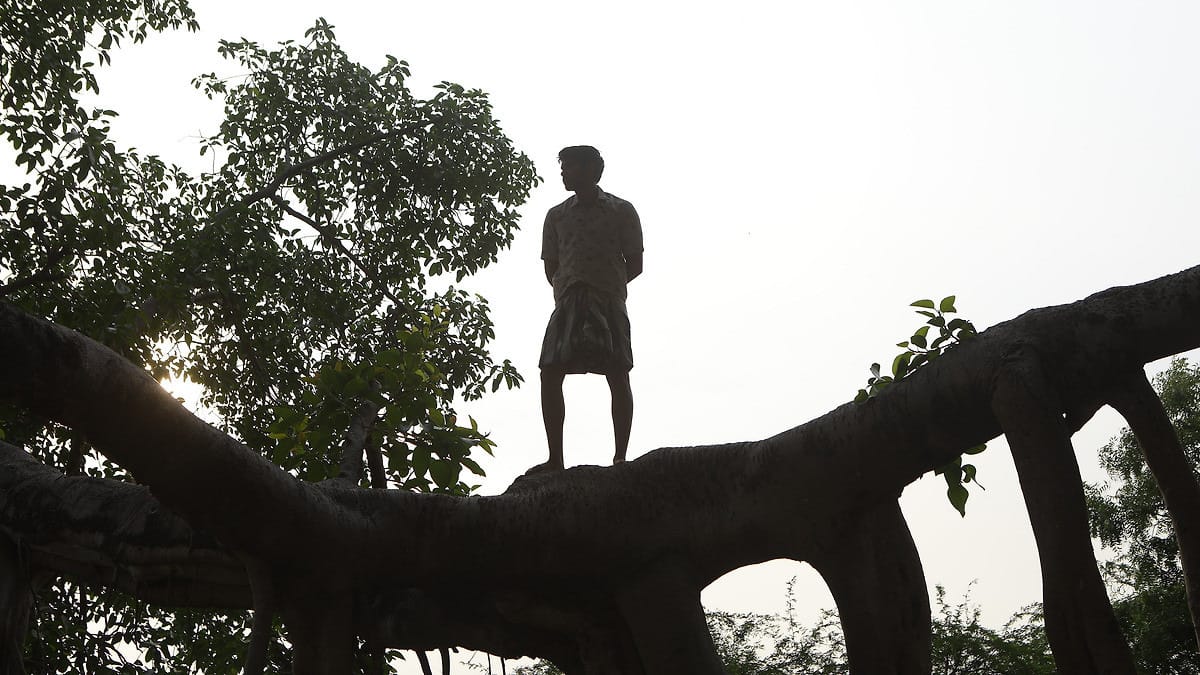 Dhruv Vikram in Bison Kaalamaadan, standing on top of a tall tree branch