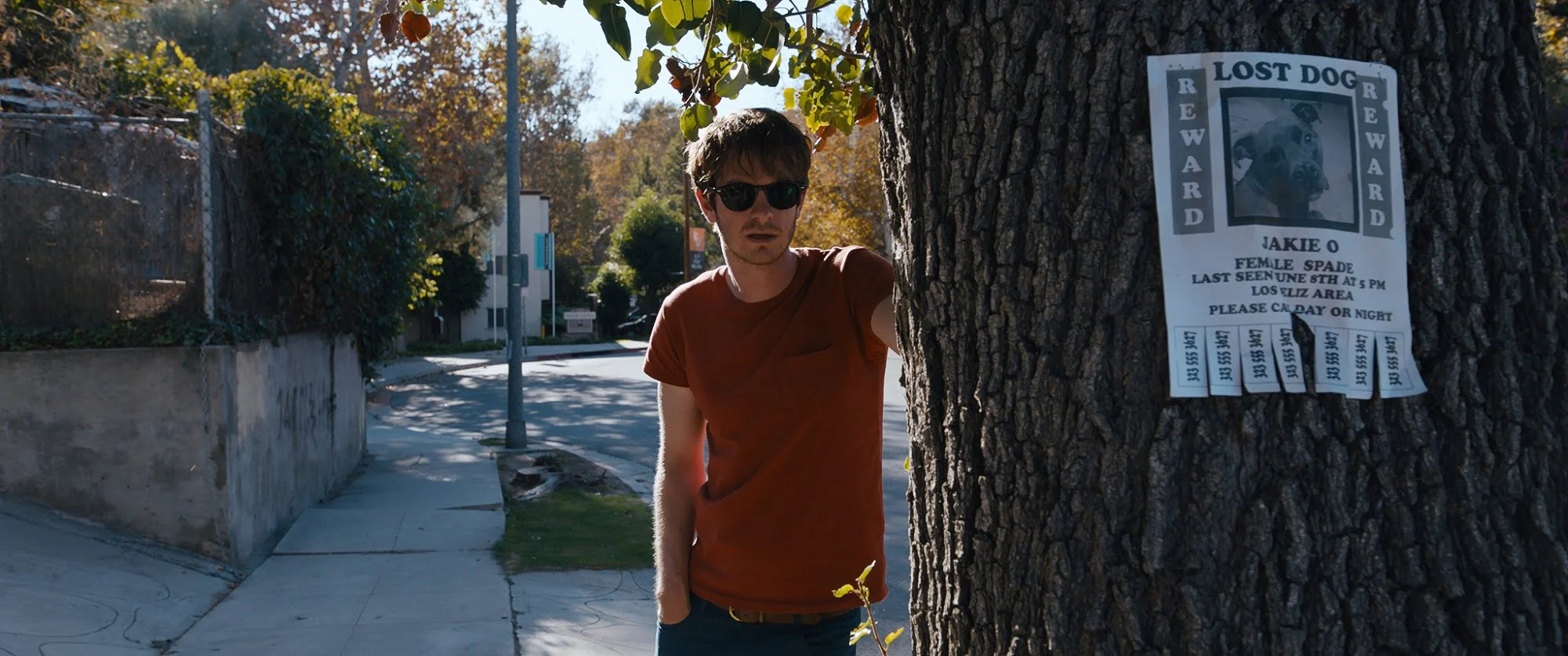 A disheveled Andrew Garfield wearing sunglasses behind a tree with a lost dog sign in Under the Silver Lake