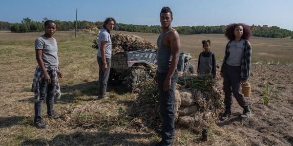 Weekend Watchlist, 8/8: Survive and thrive