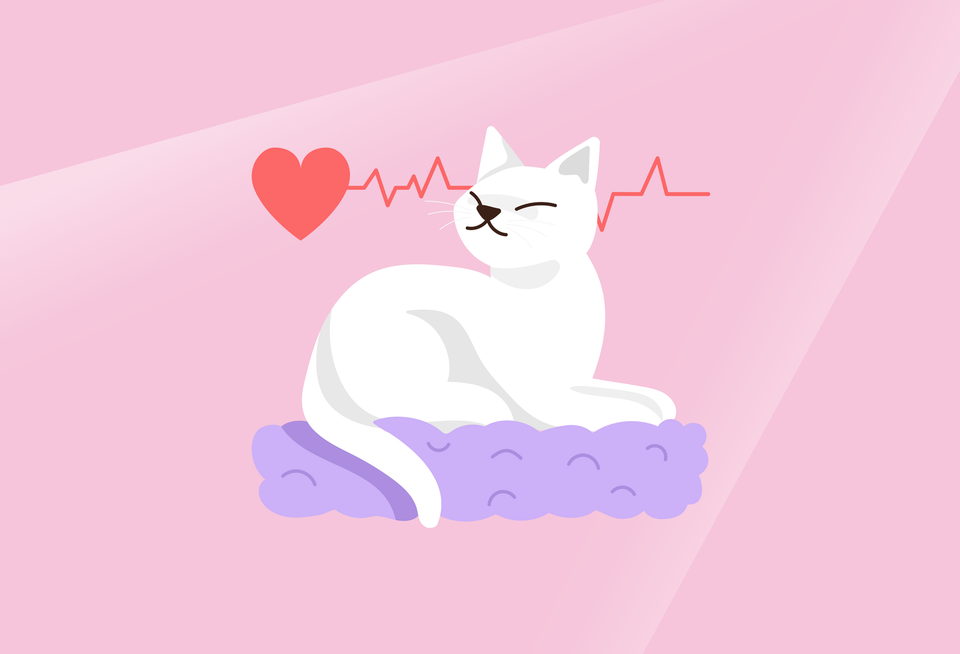 펫 휴머나이제이션으로 성장하는 펫테크, AI 기기와 맞춤형 서비스가 반려동물의 건강과 정서 안정까지 지원해 보호자의 편의성을 높입니다.