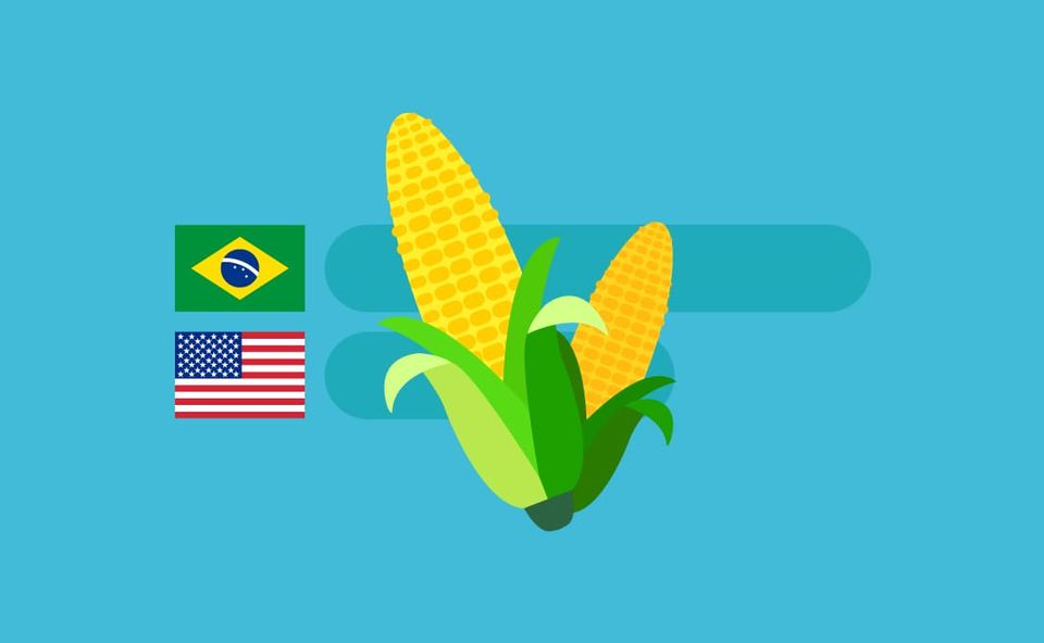 Brazil has surpassed the US to become the world's largest corn exporter, reshaping the global corn market. DeepSales is offering 100 free leads from Brazil's corn industry
